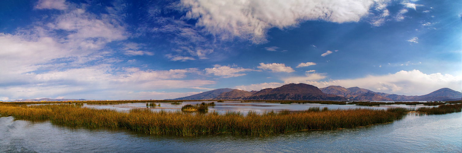 Schilf- Landschaft im Titicacasee