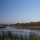 Schilf - Morgens am ruhigen See