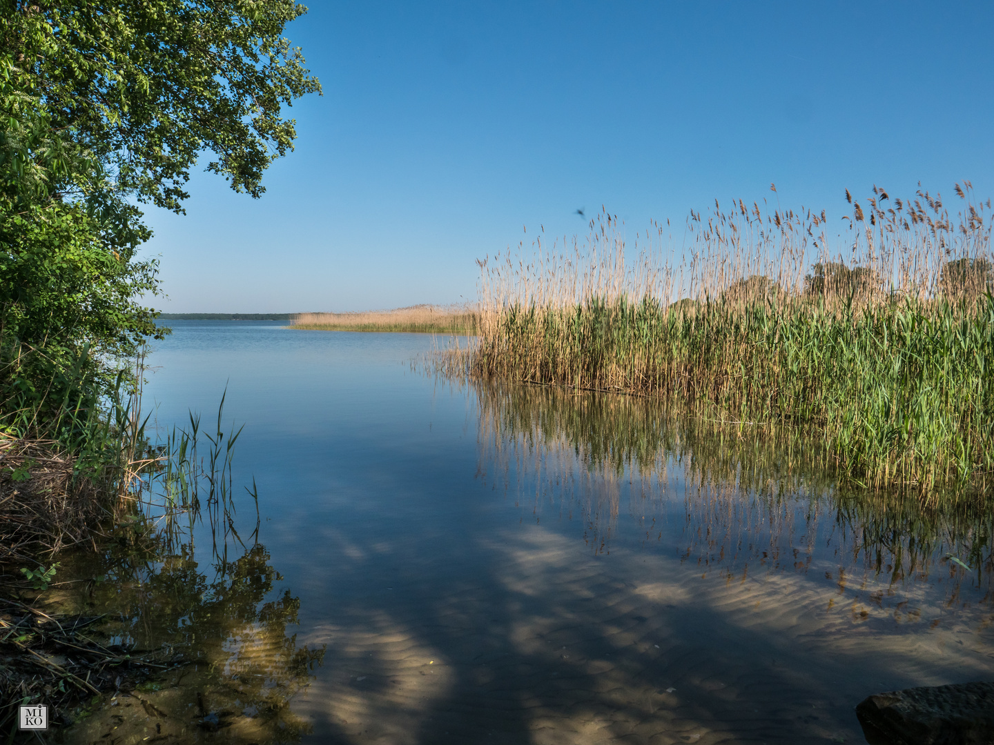 SchilfUfer Foto & Bild landschaft, lebensräume, projekte Bilder auf