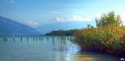 Schilf und Berge am Thunersee von Juan