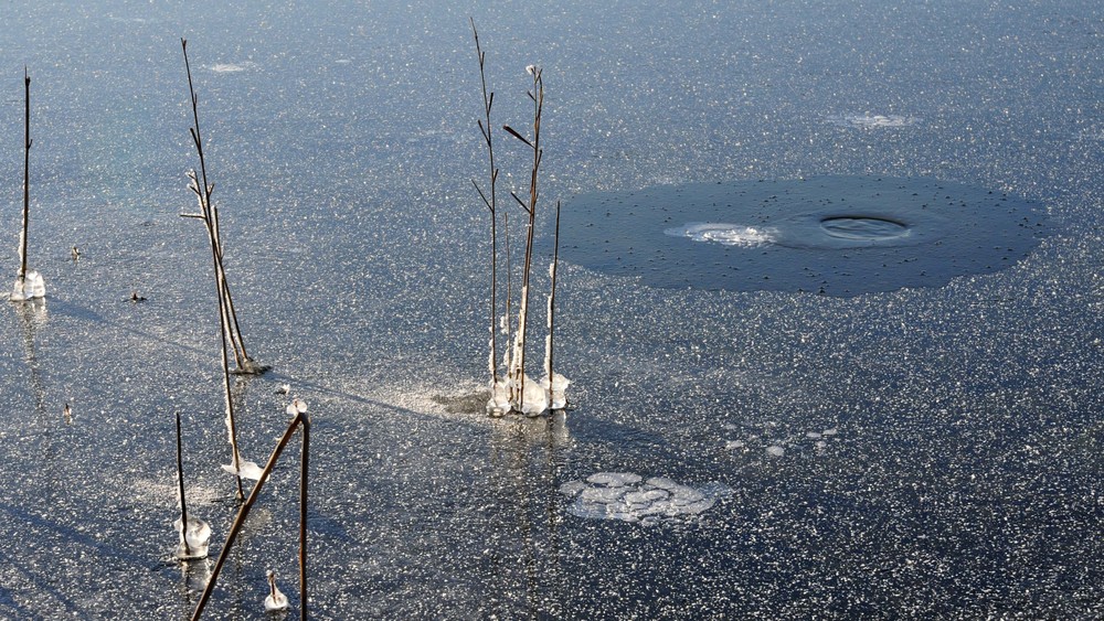 SCHILF,EIS UND WASSERLOCH