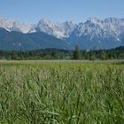 Schilfgürtel am Barmsee