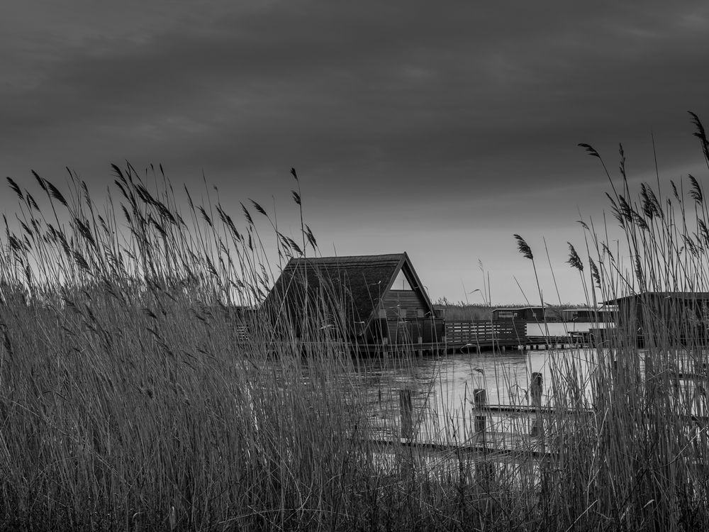 Schilfhütte in Rust Neusiedlersee