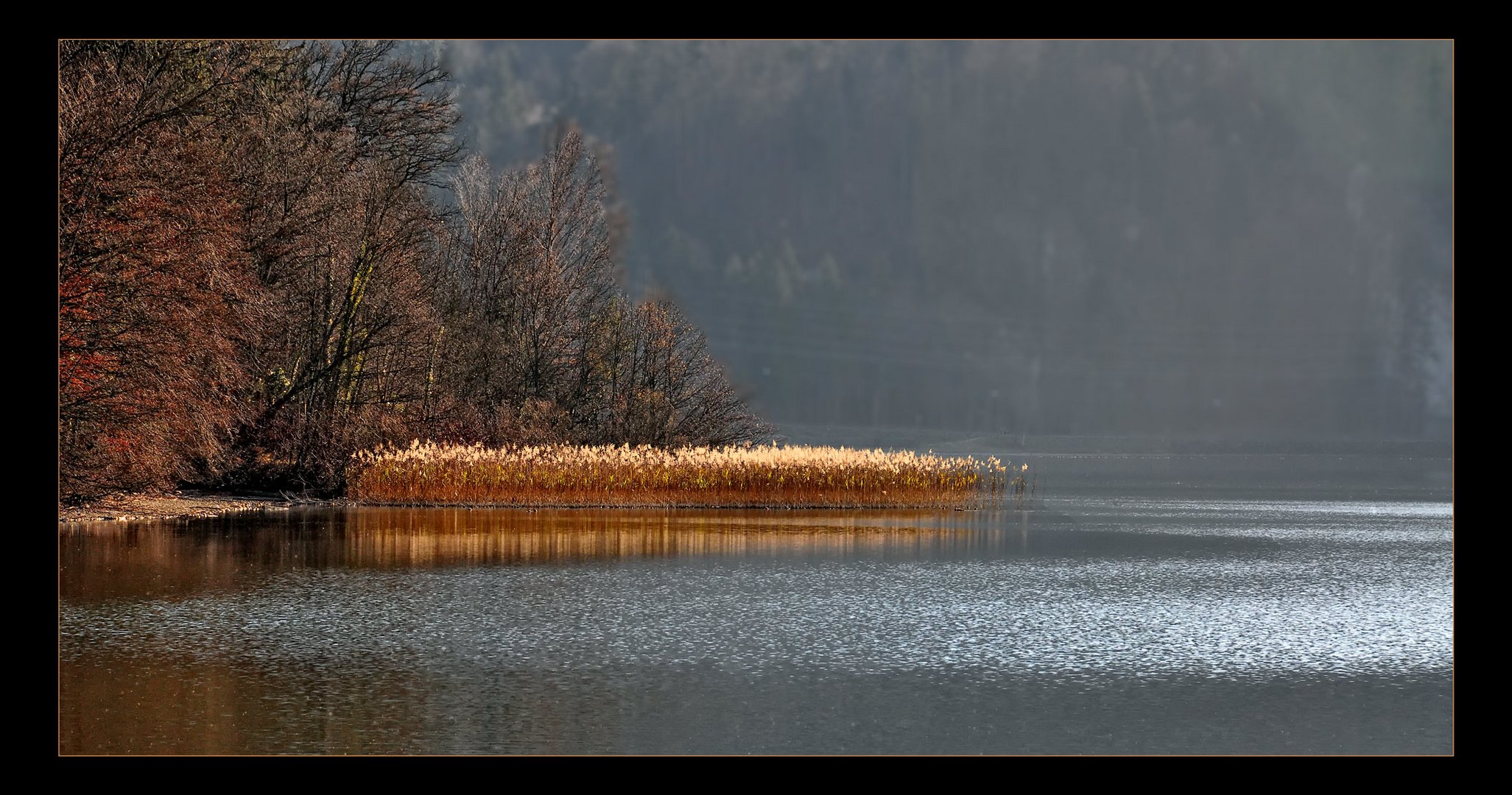 SCHILFINSEL KOCHELSEE