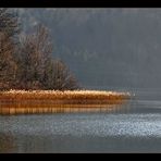 SCHILFINSEL KOCHELSEE