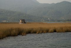 Schilflandschaft bei Dalyan