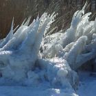 Schilfskulptur aus Eis und Sturm