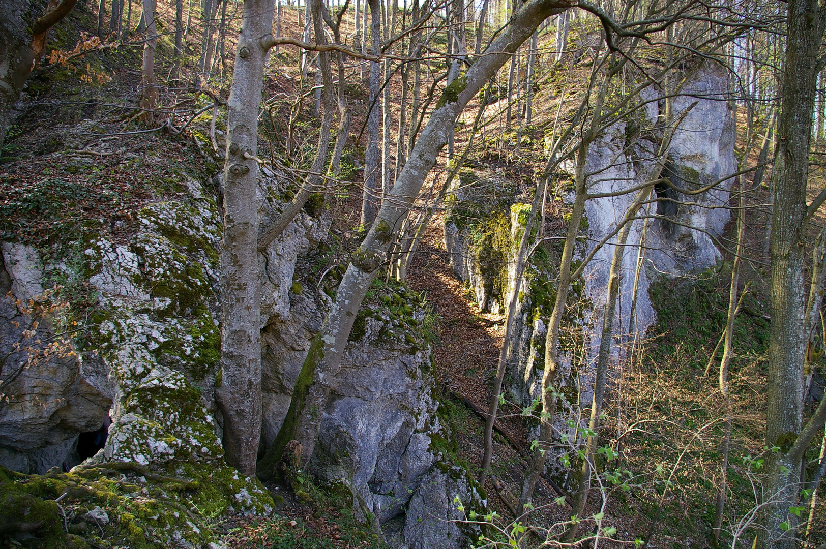 Schiller Höhle