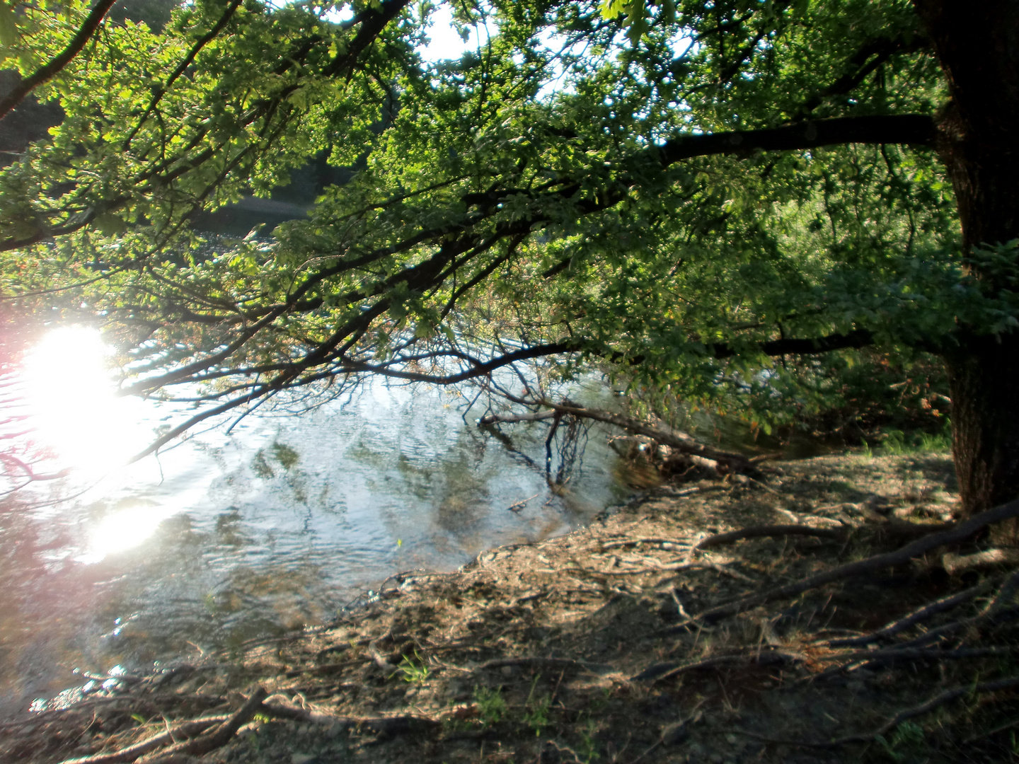 Schillernde Natur