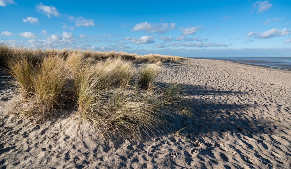 Schillig / Wangerland / Nordsee