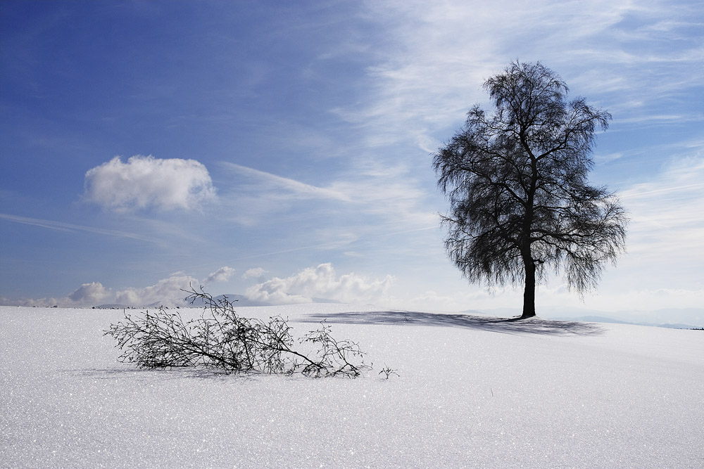 Schillingerberg Freiamt (2)