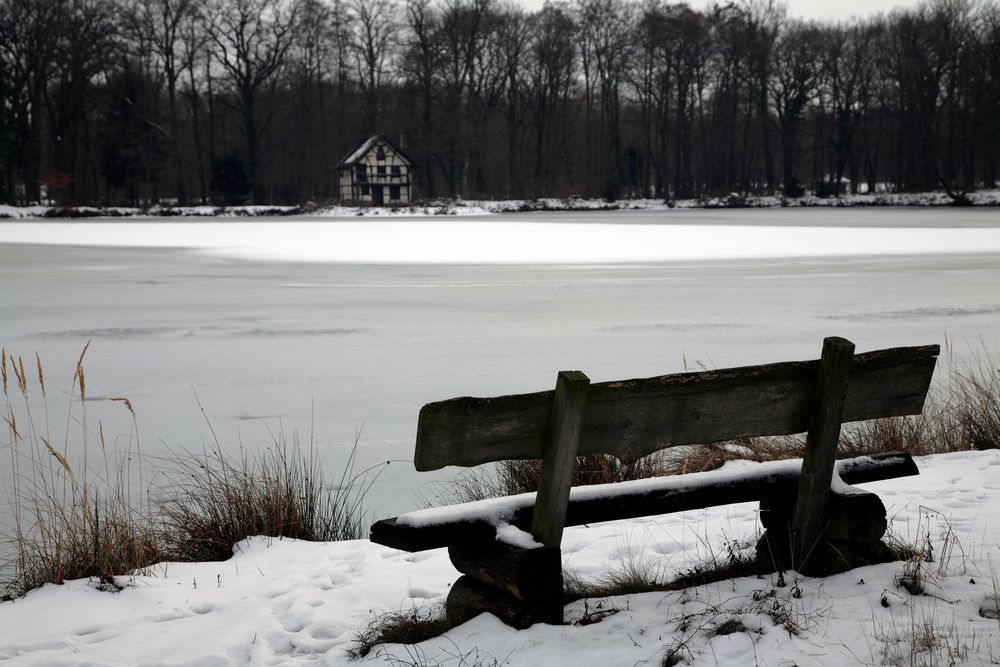 Schillingspark im Winter