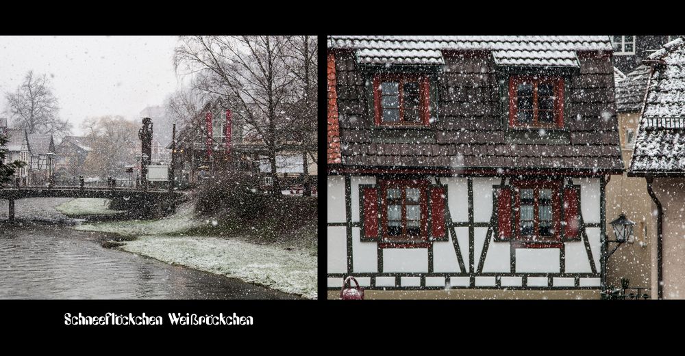 Schiltach 3. März 2016 12.00 Uhr