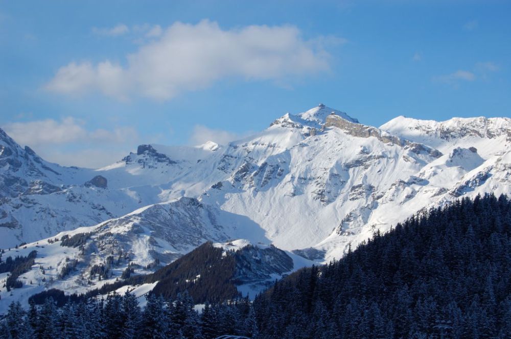 Schilthorn im Winter