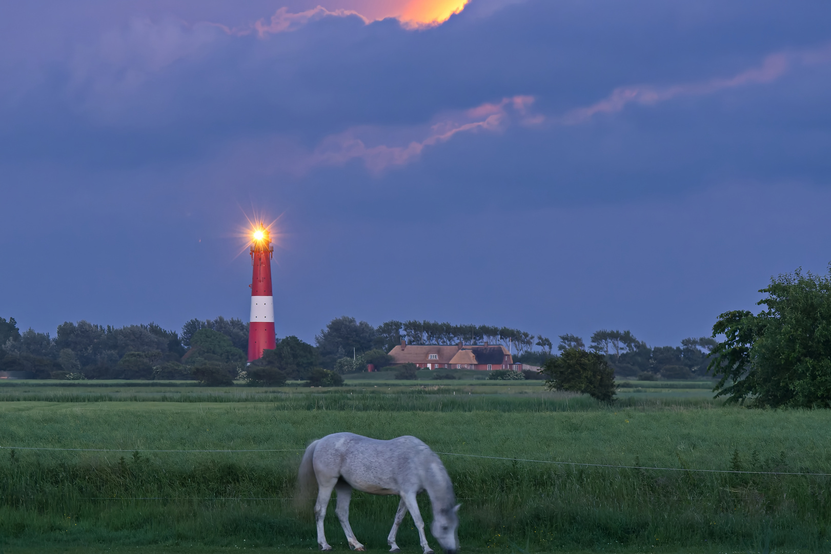 Schimmel am Leuchtturm