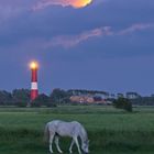 Schimmel am Leuchtturm