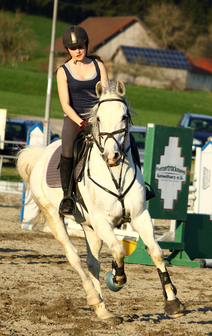 Schimmel in der Springstunde