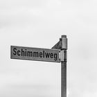 schimmlig