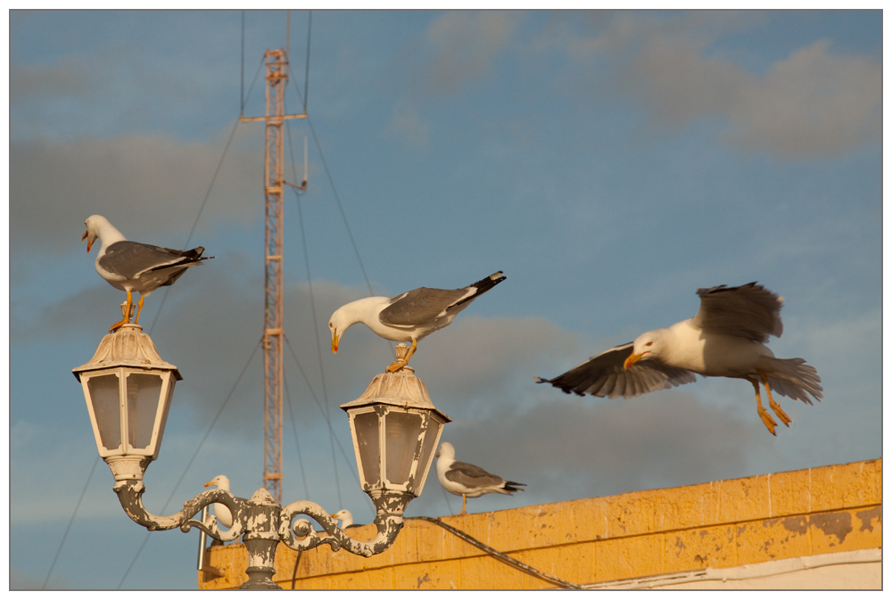 schimpfen_gucken_abflug