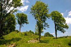 Schin op Geul - Schaelsberg