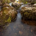 Schinderbach im Sommer