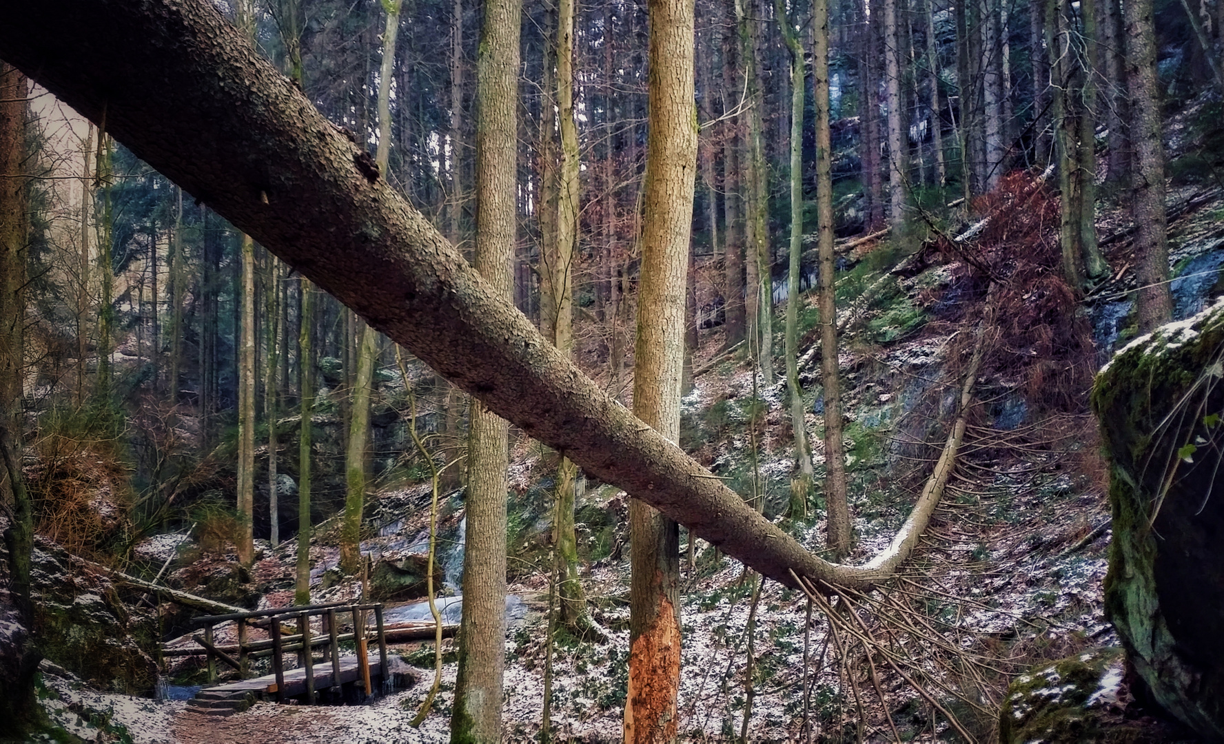 Schindergrund bei Hohenstein/Sa.