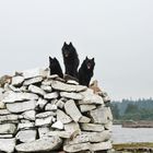 Schipperke Lighthouse