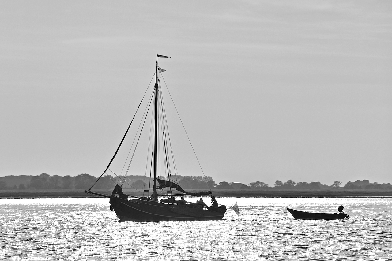 Schippern auf der Elbe
