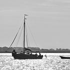 Schippern auf der Elbe