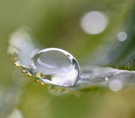 Schirm im Tropfen