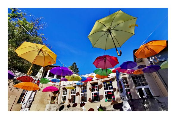 Schirme schweben BW p30-916-col +5+4Fotos