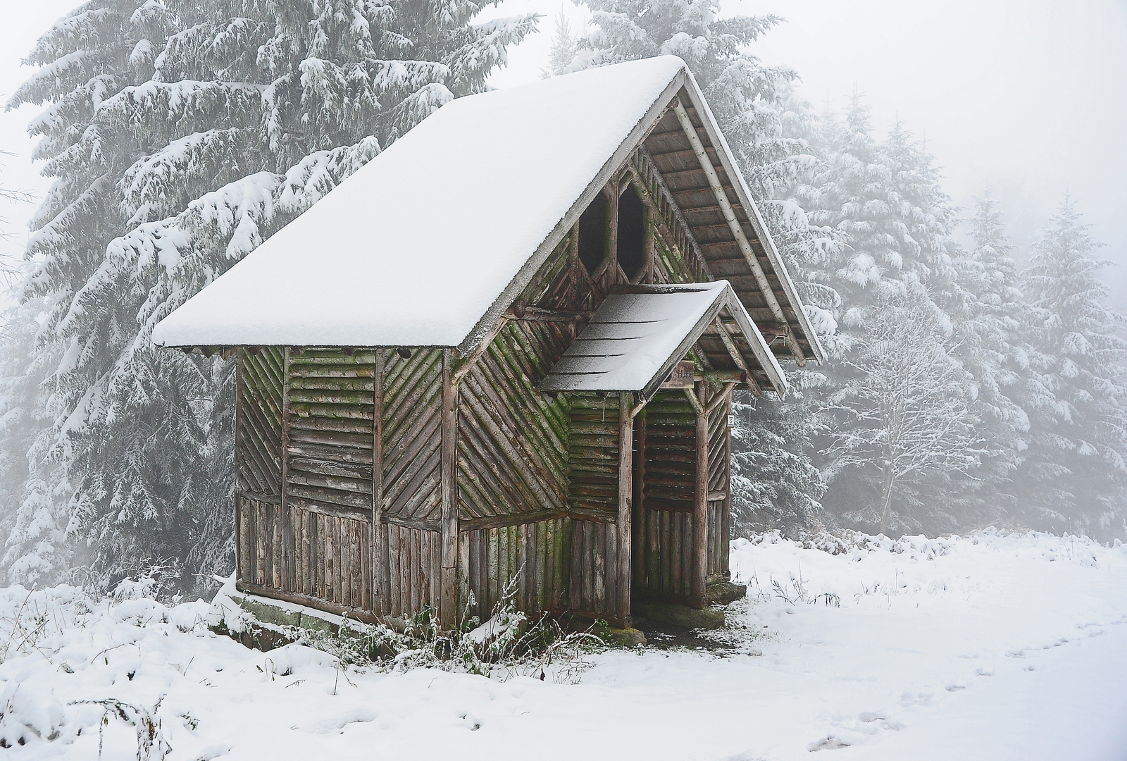 Schirmhütte bei Bad Wildbad, Nordschwarzwald