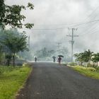 Schirmspaziergang auf Samoa