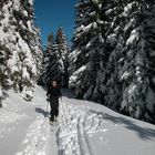 Schitour auf den Unterberg