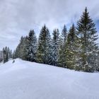 Schitour Ochsenlager (Lecknertal / Bregenzerwald)