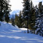 Schiweg im Zillertal II