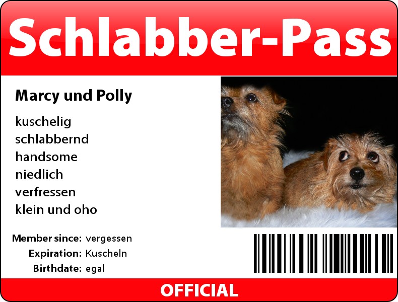 Schlabber-Pass