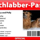 Schlabber-Pass