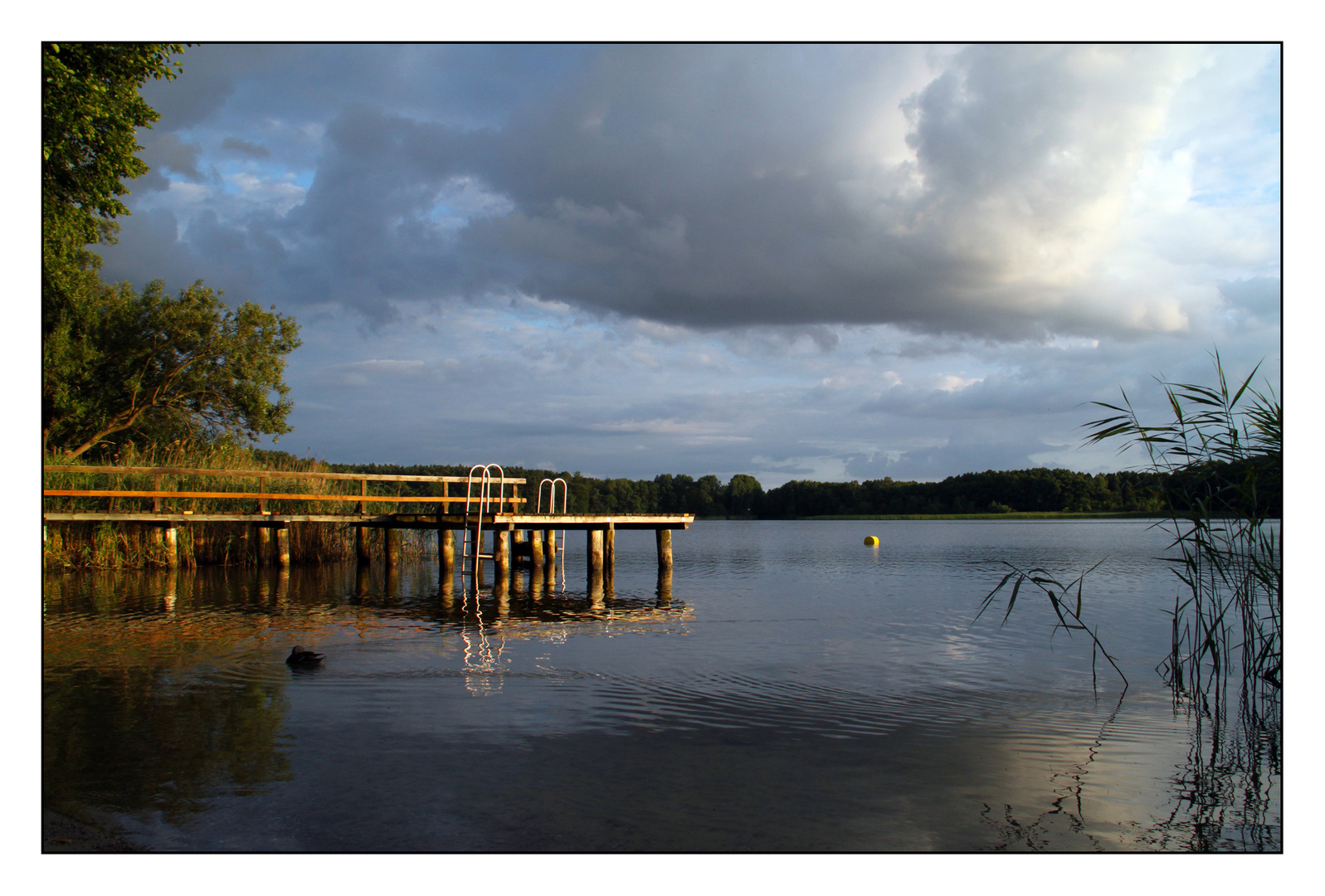 Schlabornsee