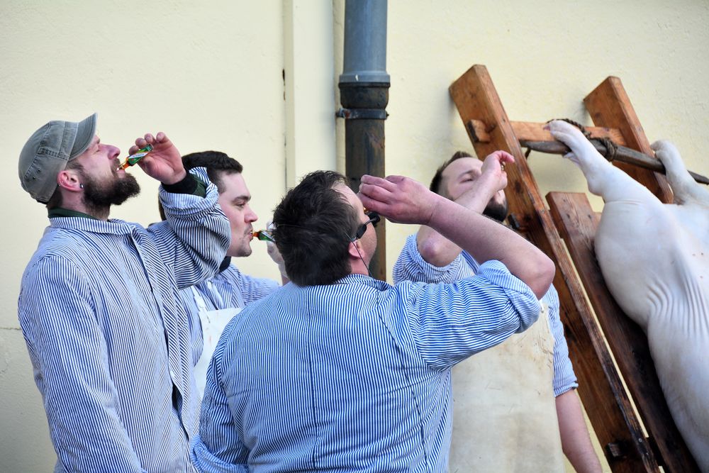 Schlachtefest 7 - Wenn das Schwein am Haken hängt, dann wird einer eingeschenkt