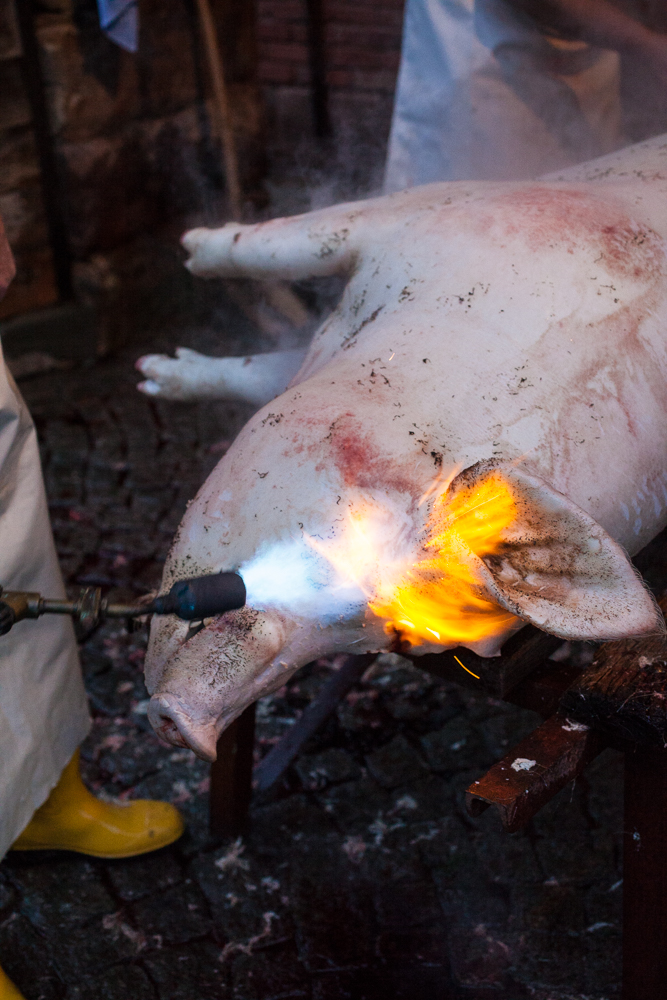 Schlachtefest in Thüringen