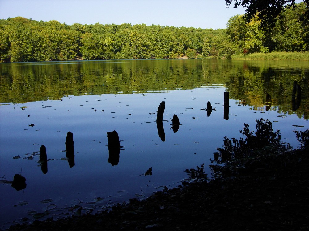 ...schlachtensee-berlin - vom südufer aus...