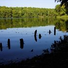 ...schlachtensee-berlin - vom südufer aus...