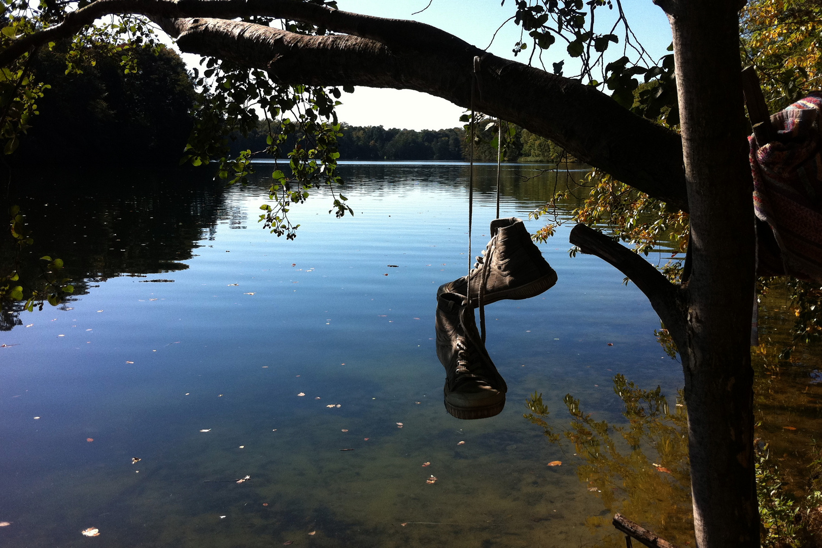 Schlachtensee im Herbst