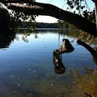 Schlachtensee im Herbst