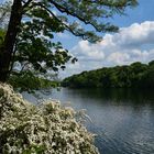 Schlachtensee in Berlin