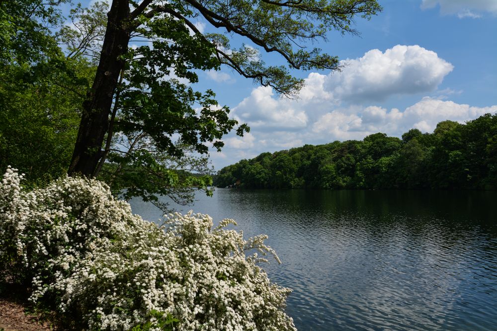 Schlachtensee in Berlin