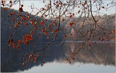 Schlachtensee_IMG_5884