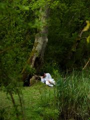 Schlaefchen - an der Kapelle Le Folgoat - Landévennec