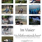 *Schläferstündchen* Collage von aeschlih